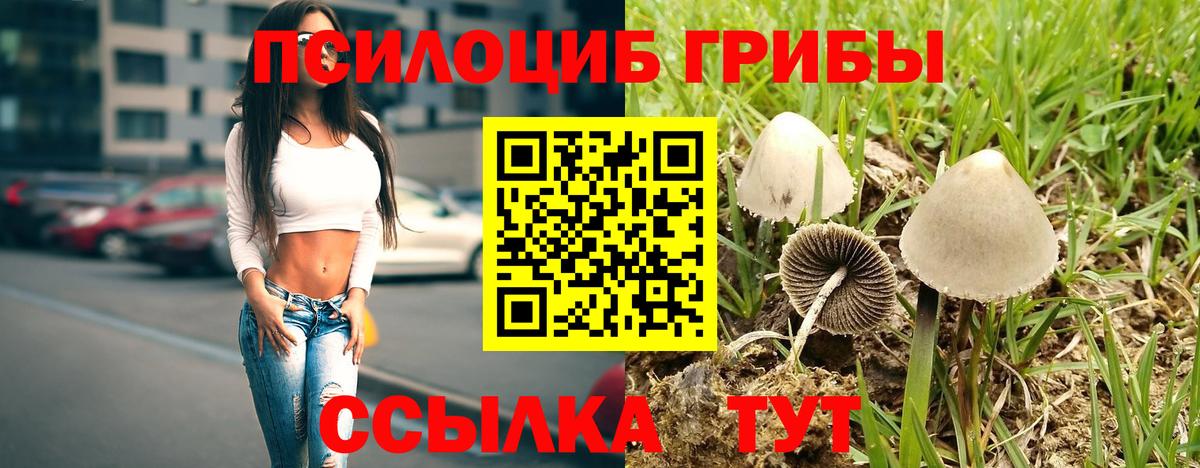 Галлюциногенные грибы Psilocybine cubensis  Вход с VPN  Псилоцибиновые грибы Psilocybine cubensis  Бор 