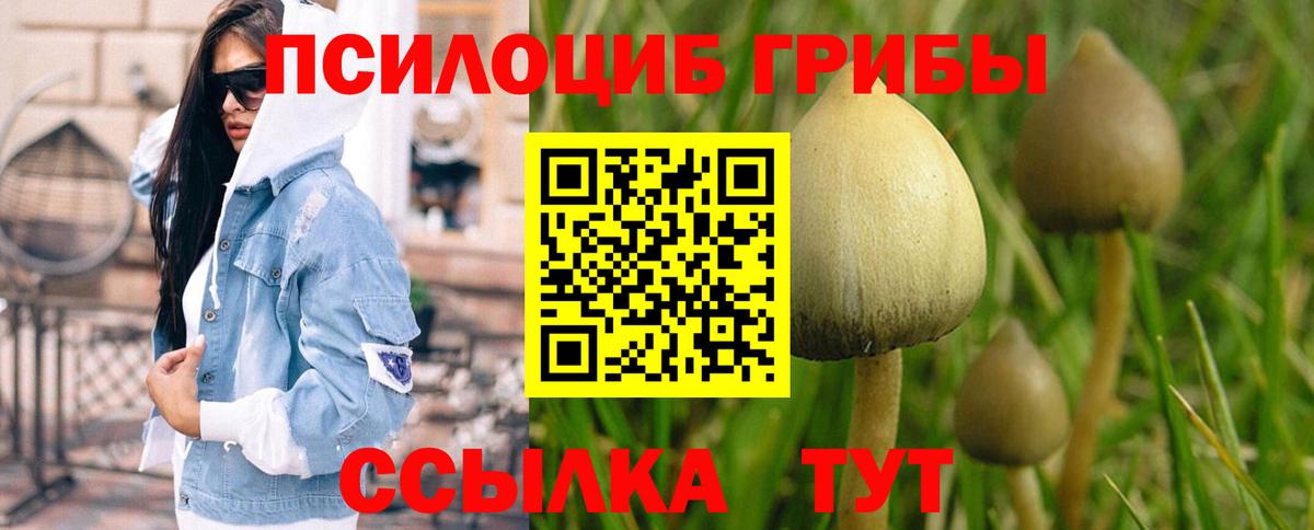 Псилоцибиновые грибы MAGIC MUSHROOMS Бор